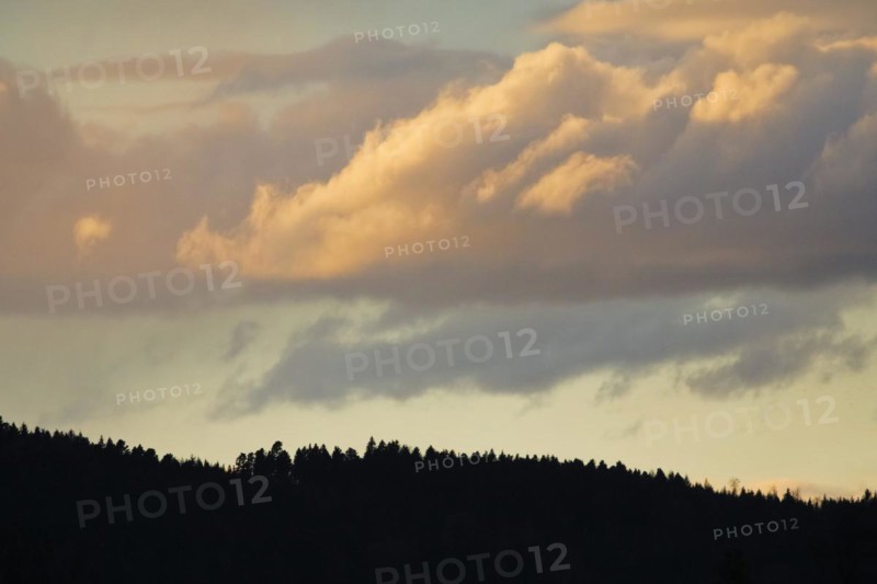 Silhouette of spruce forest under an atmospheric evening sky, Switzerland, Europe