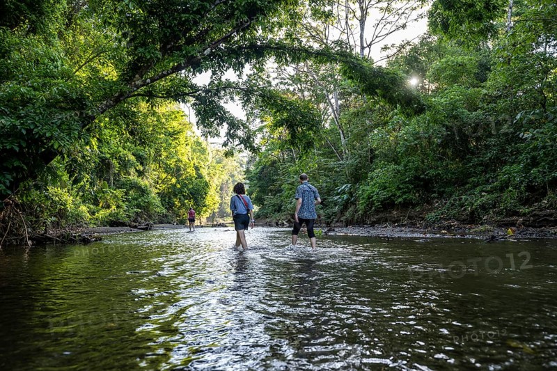 Young woman and man in the tropical rainforest crossing a stream, tourists wading through a stream, Corcovado National Park, Osa Peninsula, Puntarena Province, Costa Rica, Central America