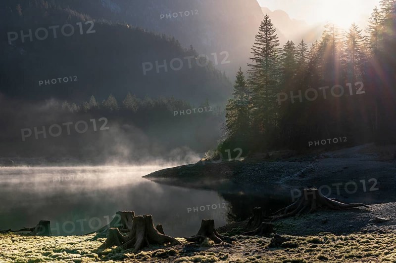 The Vordere Gosausee in autumn. Several tree stumps in the foreground. Fog rises from the lake. Sun, sunbeams, backlight. Vorderer Gosausee, Gosau, Gosau Valley, Salzkammergut, Upper Austria, Austria, Europe