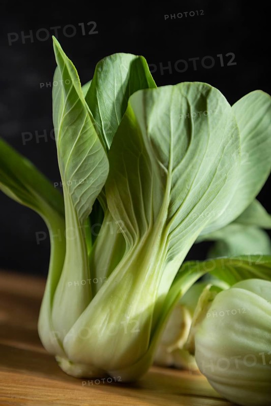 Fresh green bok choy or pac choi chinese cabbage on a gray wooden background. Hard light, contrast, dark, moody. Side view, close up, selective focus