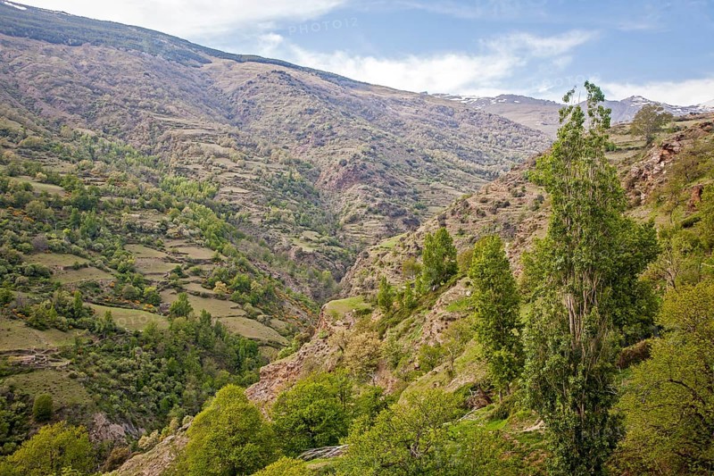 Landscape of the River Rio Poqueira gorge valley, High Alpujarras, Sierra Nevada, Granada Province, Spain, Europe