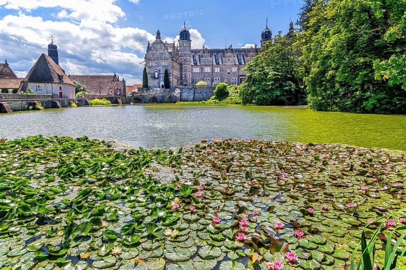 Castle pond with water lilies in front of Hämelschenburg Castle, Weser Renaissance castle, municipality of Emmerthal, Emmer, Emmental, Weserbergland, Lower Saxony, Germany, Europe