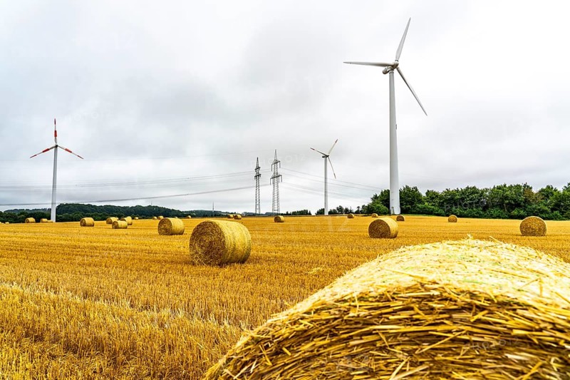 Power lines, high-voltage power lines, wind turbines, grain field, north-east of Höxter, North Rhine-Westphalia, Germany, Europe