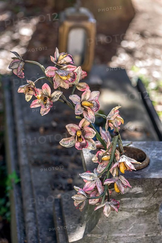 Faded plastic flowers on a grave in the Staglieno Monumental Cemetery, Cimitero Monumentale di Staglieno, Piazzale Giovanni Battista Resasco, Genoa, Italy, Europe