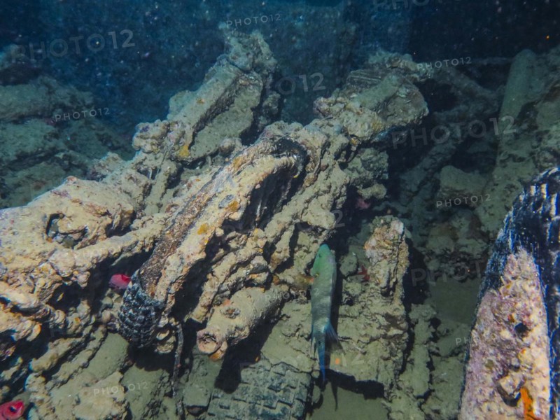 Motorbike, cargo lower deck, cargo holds, dive site wreck of the Thistlegorm, Red Sea, Egypt, Africa