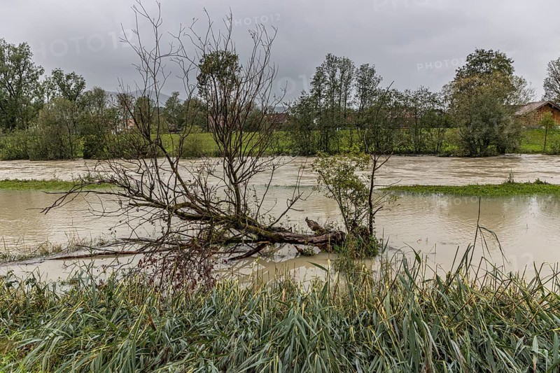 Flood on a river, storm on 26.8.23 near Benediktbeuern, Loisach near Schlehdorf, Bavaria, Germany, Europe