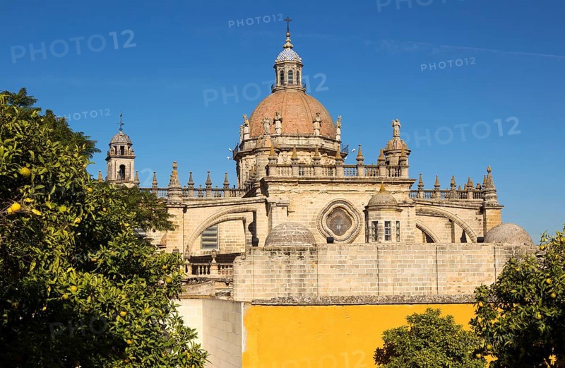 Dome of Cathedral church amidst orange trees with deep blue sky, Jerez de la Frontera, Cadiz province, Spain, Europe