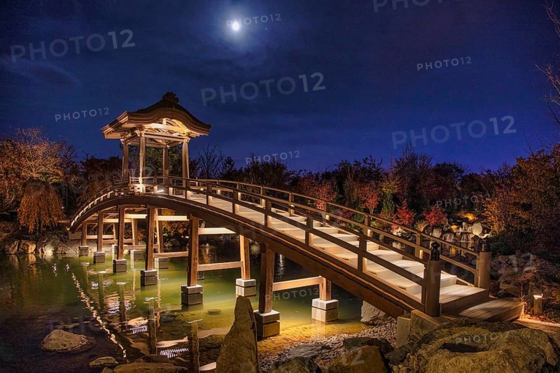 Japanese park, Krasnodar, Russia, Europe