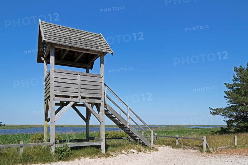 Viewing platform, duck platform, Libbertsee, circular hiking trail, nature reserve, Darßer Ort, Born a. Darß, Mecklenburg-Vorpommern, Germany, Europe