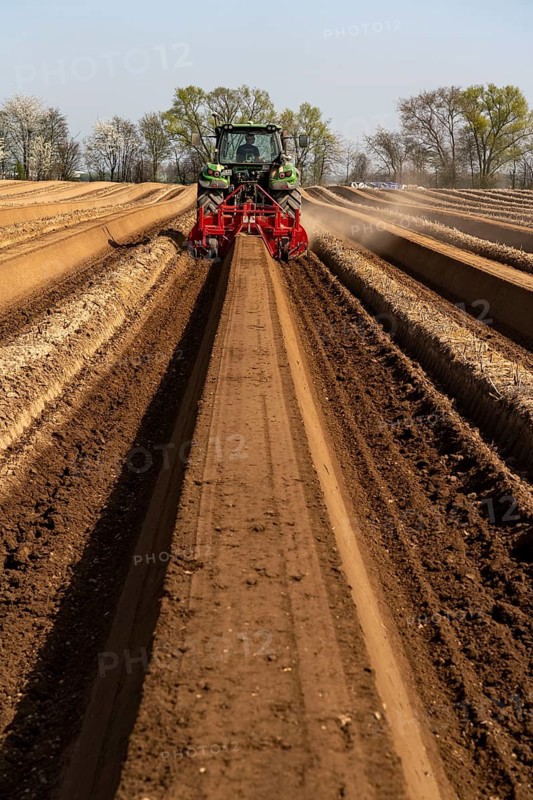 A farmer builds asparagus ridges on a field with the help of an asparagus tiller, in which the asparagus then grows, Dormagen, North Rhine-Westphalia, Germany, Europe