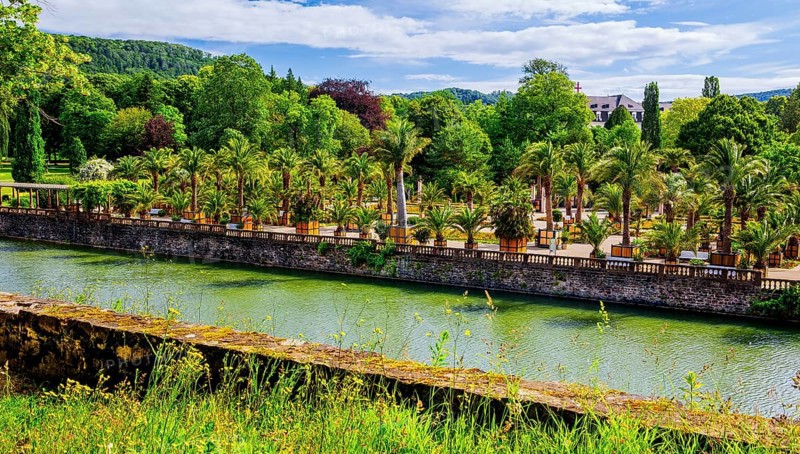 Castle moat with palm garden in the spa gardens, the largest outdoor palm garden north of the Alps, spa town of Bad Pyrmont, Lower Saxony state spa, Emmer, Emmertal, Weserbergland, Lower Saxony, Germany, Europe