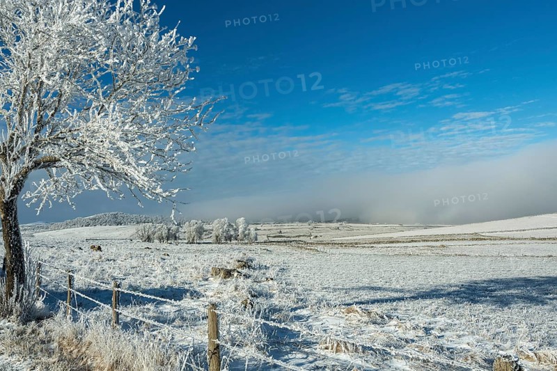 Aubrac plateau in winter. Lozere departement. Occitanie. France