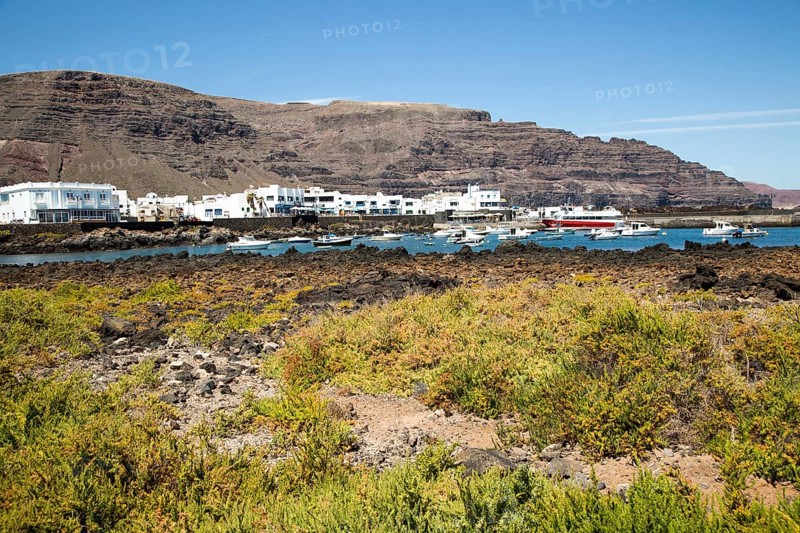 Harbour and white houses in the fishing village of Orzola, Lanzarote, Canary Islands, Spain, Europe