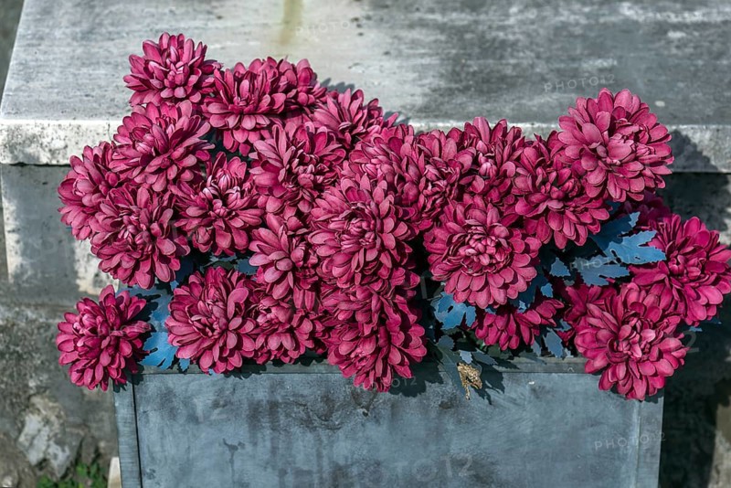 Faded fabric flowers on a grave in the Staglieno Monumental Cemetery, Cimitero Monumentale di Staglieno, Piazzale Giovanni Battista Resasco, Genoa, Italy, Europe