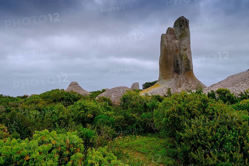 Rock formations at the Postberg viewpoint, Langebaan Lagoon, West Coast National Park, Western Cape, South Africa, Africa