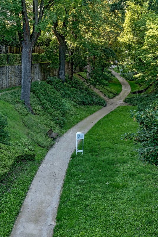 Path through the castle garden, Lindenallee, Ostzwinger, castle park at Friedberg Castle in the medieval castle, old town, Friedberg, Wetterau, Hesse, Germany, Europe
