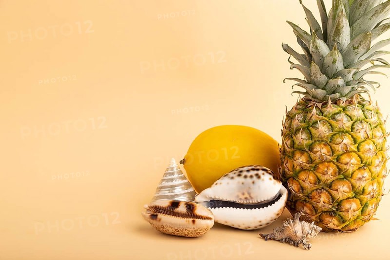 Ripe pineapple, melon, seashells on orange pastel background. Side view, copy space. Tropical, healthy food, vacation, holidays concept