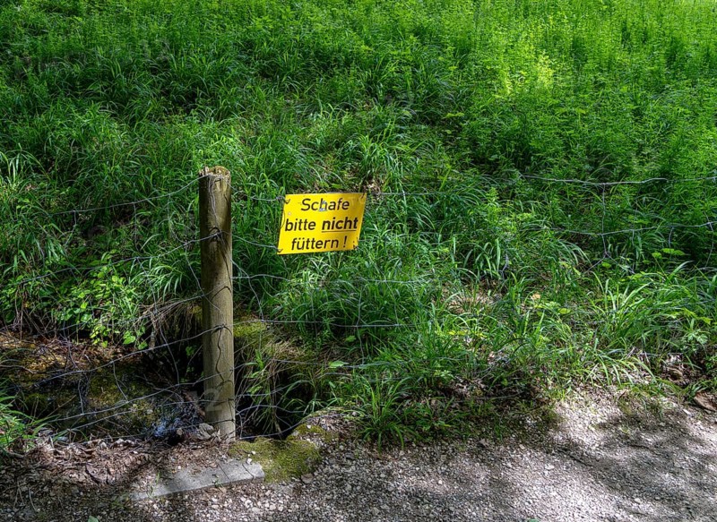 Yellow sign on fence, Bavaria, Germany, Europe