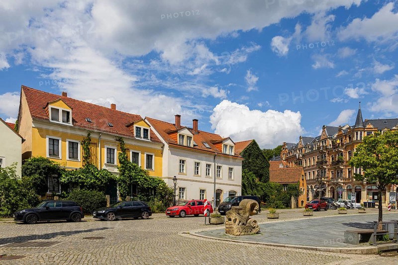 Listed Wieck House in Loschwitz, Friedrich-Wieck-Straße 10, Dresden Loschwitz, Dresden, Saxony, Germany, Europe