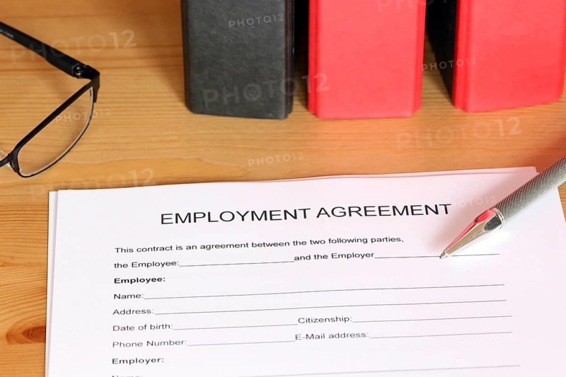 Blank form of an employment contract in English