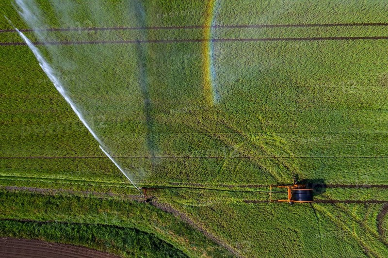 Irrigation of a wheat field on the Lower Rhine, with a mobile irrigation machine, large-area sprinkler, Germany, Europe
