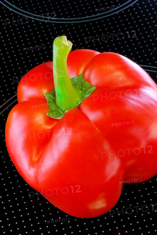Red pepper on glass plate, Stillife, Studio