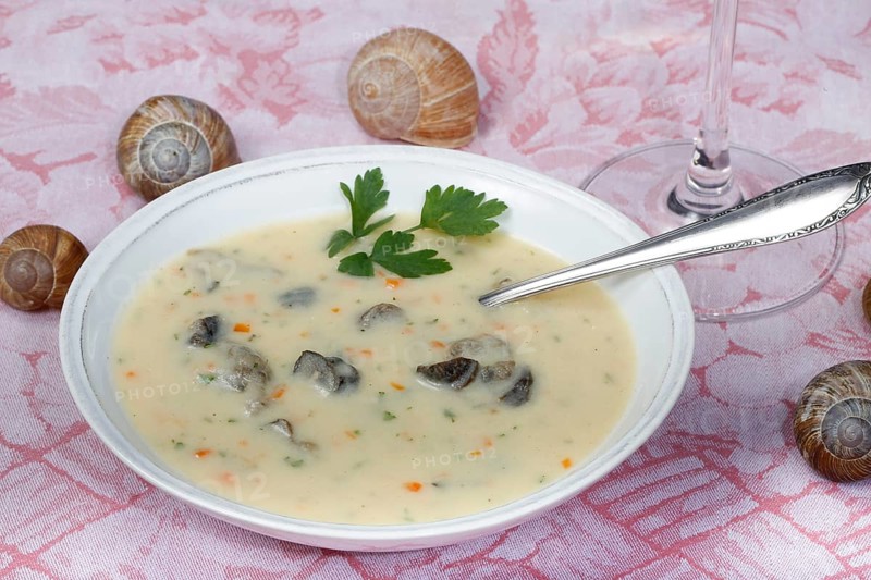 Baden cuisine, snail soup, typical Baden, vineyard snail shell, snail shells, parsley, spoon, soup bowl, traditional cuisine, speciality, food photography, studio, Germany, Europe