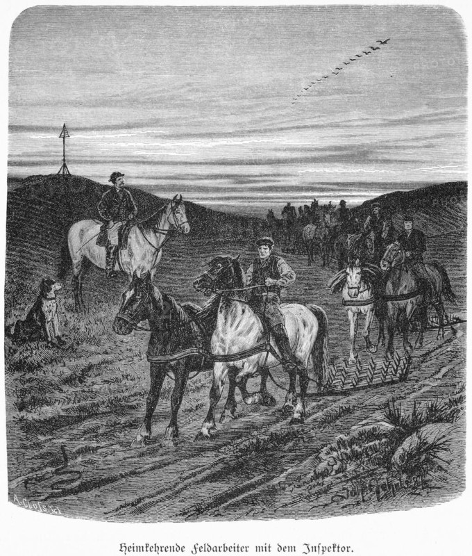 Returning field labourers with the inspector, Mecklenburg-Western Pomerania, Germany, after work, rider, horses, harrow, overseer, historical illustration 1880, Europe