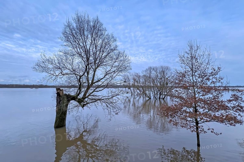 Flood, flood protection, flooding, dike protection, dike on the Elbe, flooding, sunrise, biotope, Elbe dike, habitat, Elbe floodplains, floodplain landscape, river course, delta, Middle Elbe river landscape, flowing water, sunrise, Middle Elbe biosphere reserve, Saxony-Anhalt, Germany, Europe