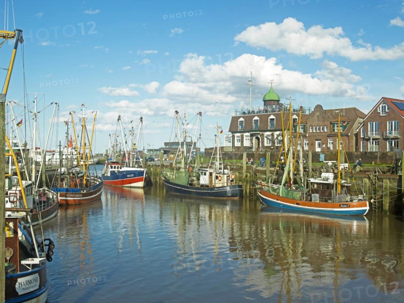 Crab cutter, harbour, Neuharlingersiel, East Frisia, Germany, Europe