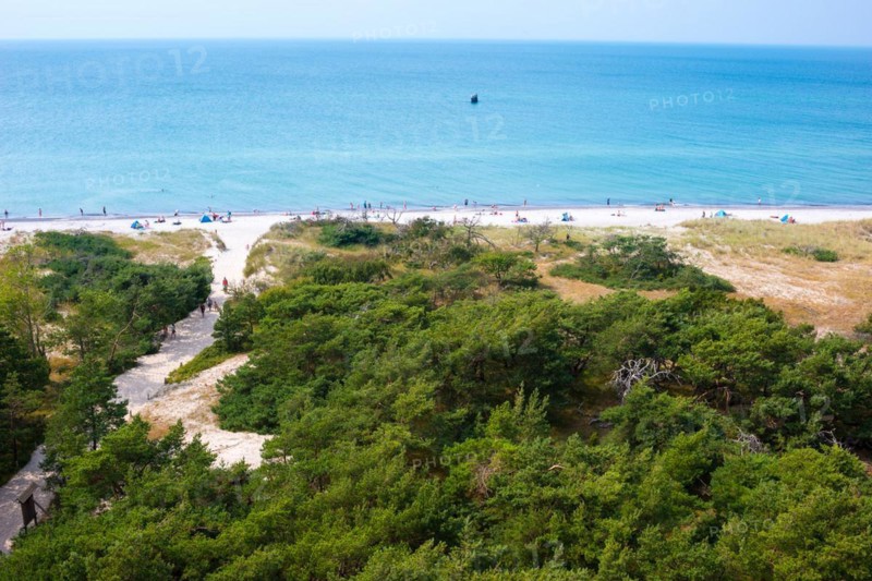 Sandy beach coastal landscape with sandy beach, dunes and sparse vegetation, sand dunes, Darß forest, pine trees (Pinus), path to the beach, people on the beach, bathers sunbathing and bathing, Darsser Ort, blue sea and blue sky, summer, view from the lighthouse Darßer Ort, nature reserve, national geotope, National Park Vorpommersche Boddenlandschaft, peninsula Fischland-Darß-Zingst, Baltic Sea, Mecklenburg-Western Pomerania, Germany, Europe