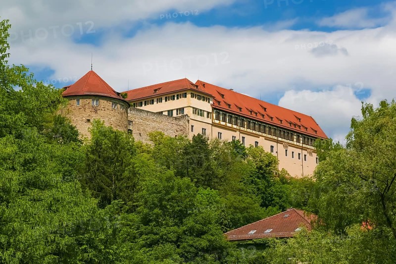 Hohentübingen Palace, Museum of the University of Tübingen MUT, higher education institution, historical building, place of learning, Renaissance complex built in the 16th century, Eberhard Karls University of Tübingen, Tübingen, Baden-Württemberg, Germany, Europe