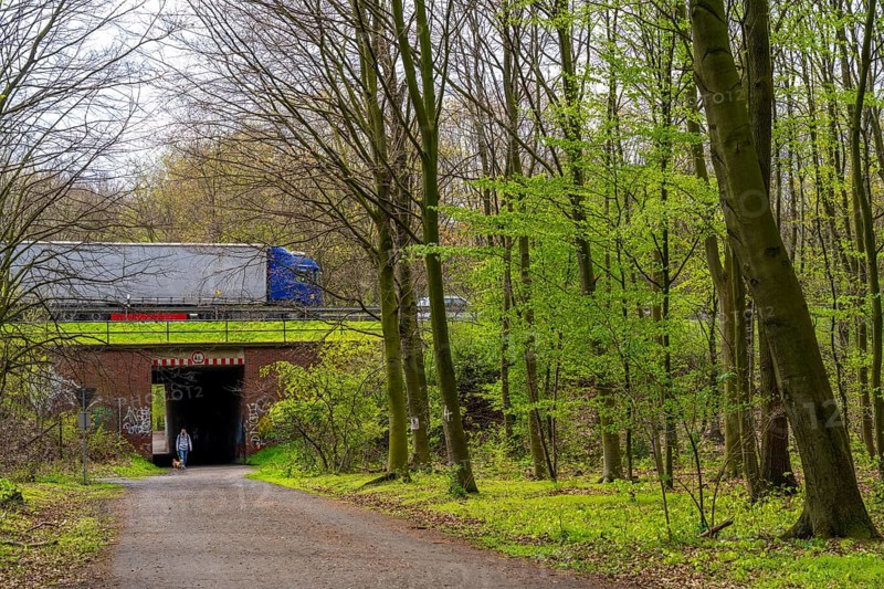 The Sterkrader Wald in Oberhausen, at the Oberhausen motorway junction, where the A2/A3A/A516 meet, it is to be expanded, 11 hectares of forest, around 5, 000 trees are to be felled for this, strong resistance to the plans has formed in the region, #Sterkibleibt, North Rhine-Westphalia, Germany, Europe