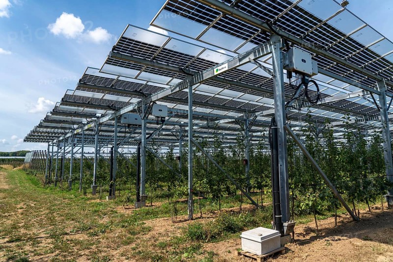 Agri-photovoltaic test plant, an apple orchard with two different systems of PV modules was roofed over 3000 square metres, rain and sunlight comes through, at the same time protection against hail and heavy rain, next to it are the same trees but without a solar roof, as a comparison object, how the PV roof affects the trees and harvest, the field test is accompanied by the Fraunhofer Institute for Solar Energy Systems ISE, in Grafschaft-Gelsdorf, Rhineland-Palatinate, Germany, Europe