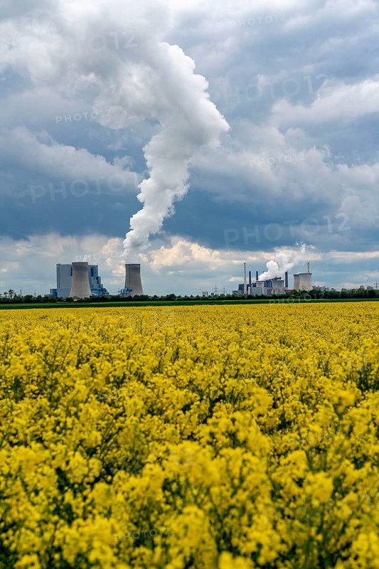Neurath lignite-fired power station, near Grevenbroich, RWE Power AG, storm clouds over the Rhenish lignite mining area, rape field, North Rhine-Westphalia, Germany, Europe