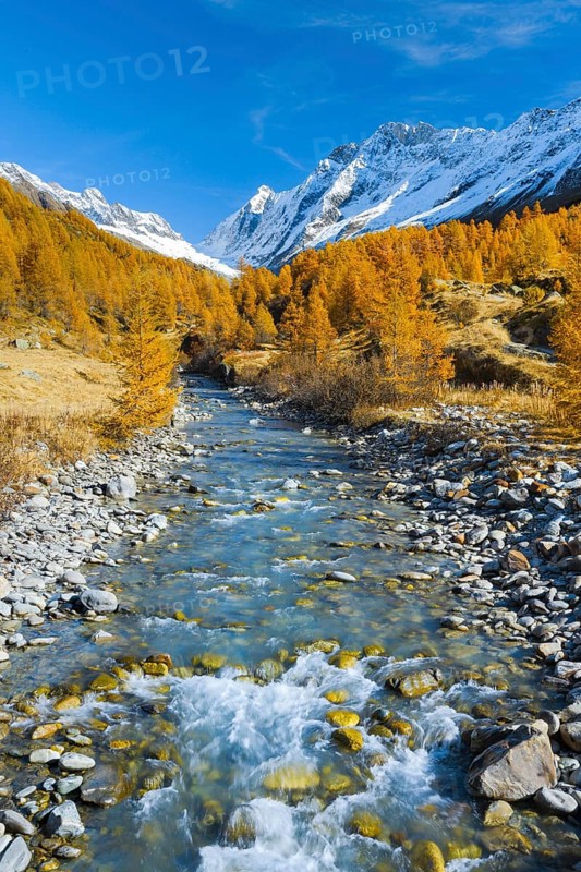 River Lonza with Aletschhorn and Schinhorn, Lötschenlücke, Valais, Switzerland, Europe