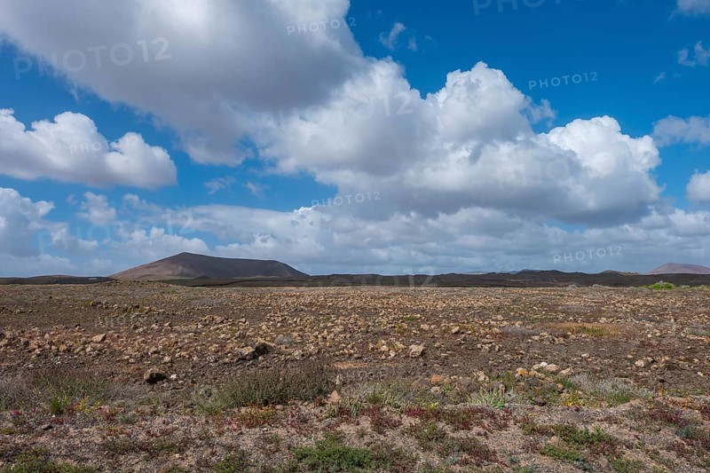 Volcanic landscape, fire mountains, volcanoes, Lanzarote, Canary Islands, Spain, Europe