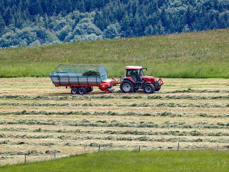 A tractor harvesting hay, Welschensteinach, 20 05 2023