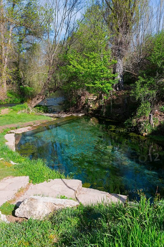 Kleiner Teich inmitten von grüner Vegetation und Bäumen mit klarem Wasser und Steinen, friedliche und frühlingshafte Stimmung, natürliche warme Quelle, Fuente de la Salud, am Fluss Duratón, Sepúlveda, Sepulveda, Segovia, Kastilien und León, Spanien