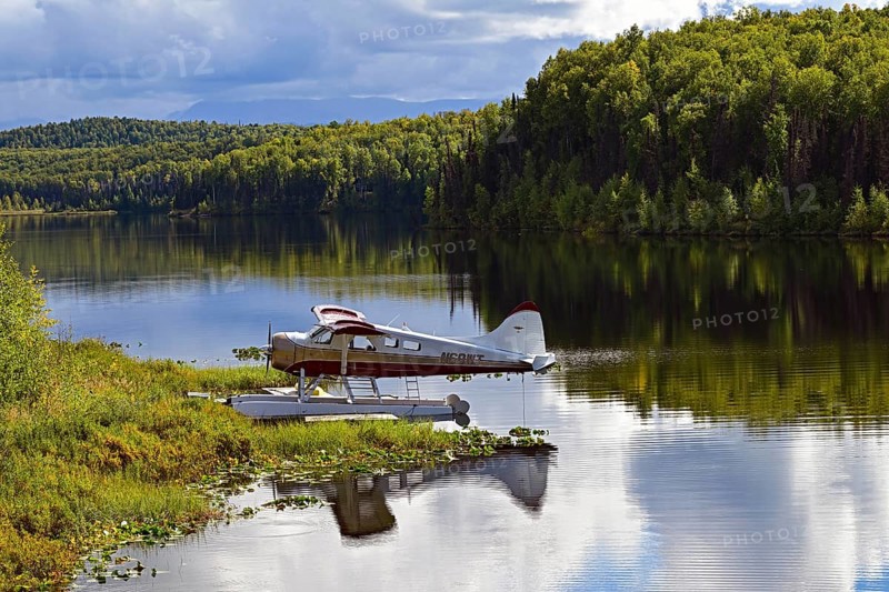 Seaplane Beaver de Havilland stands on the shore of a crystal-clear lake and is reflected in the water, Talkeetna, Alaska