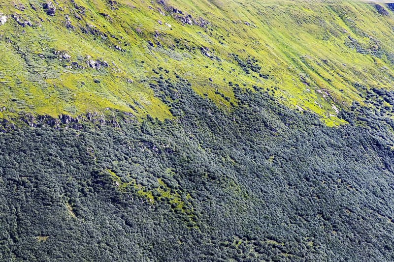 Landscape of the Swiss Alps above the tree line. Mountain slope on the Furka Pass near Obergoms, Canton Valais, Switzerland, Europe