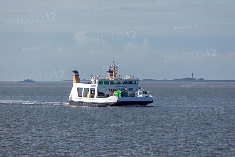 Pellworm ferry arrives, Strucklahnungshörn, Nordstrand, North Frisia, Schleswig-Holstein, Germany, Europe