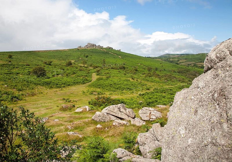 Granite upland landscape Hound Tor, Dartmoor national park, Devon, England, UK