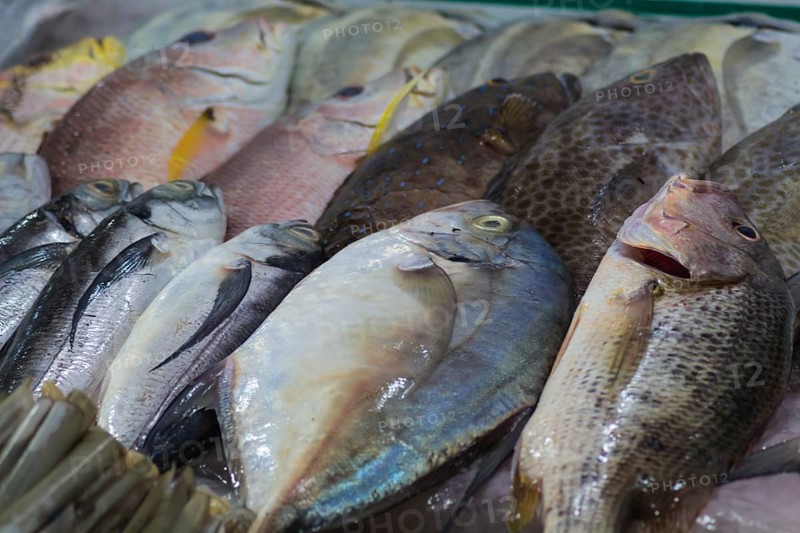 Various types of fresh sea fish on the market