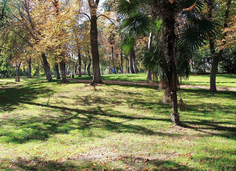 Path though trees in autumn leaf colour, El Retiro park, Madrid, Spain, Europe