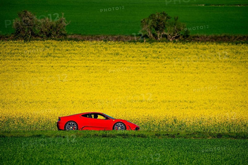 Country road by a flowering rape field, landscape near Mülheim an der Ruhr, Germany, Europe