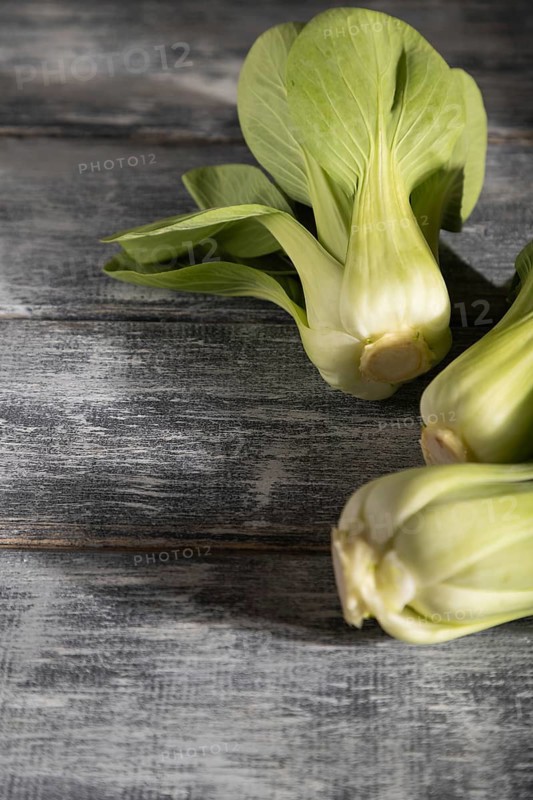 Fresh green bok choy or pac choi chinese cabbage on a gray wooden background. Hard light, contrast. Side view, copy space, selective focus