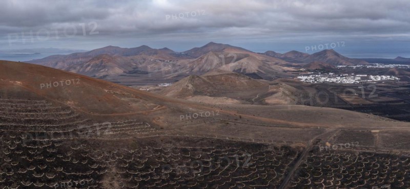Grapevines growing in black volcanic soil in protected enclosed pits, La Geria, Lanzarote, Canary Islands, Spain, Europe