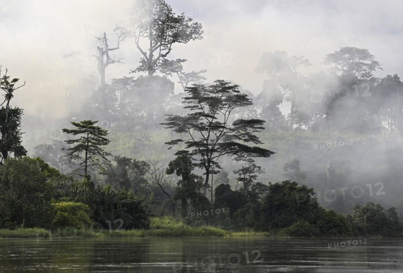 Fog over the rainforest along the Sangha River, Dzanga-Sangha Complex of Protected Areas (DSPAC), Sangha-Mbaéré Prefecture, Central African Republic, Africa
