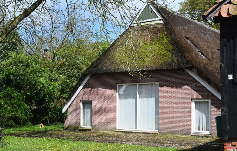 NL, Eesergroen: Spring characterises the landscape, towns and people in the province of Drenthe in the Netherlands. The picturesque village of Ees in Drenthe. NL, Eesergroen: Spring shapes the landscape, cities and people in the province of Drenthe in the Netherlands